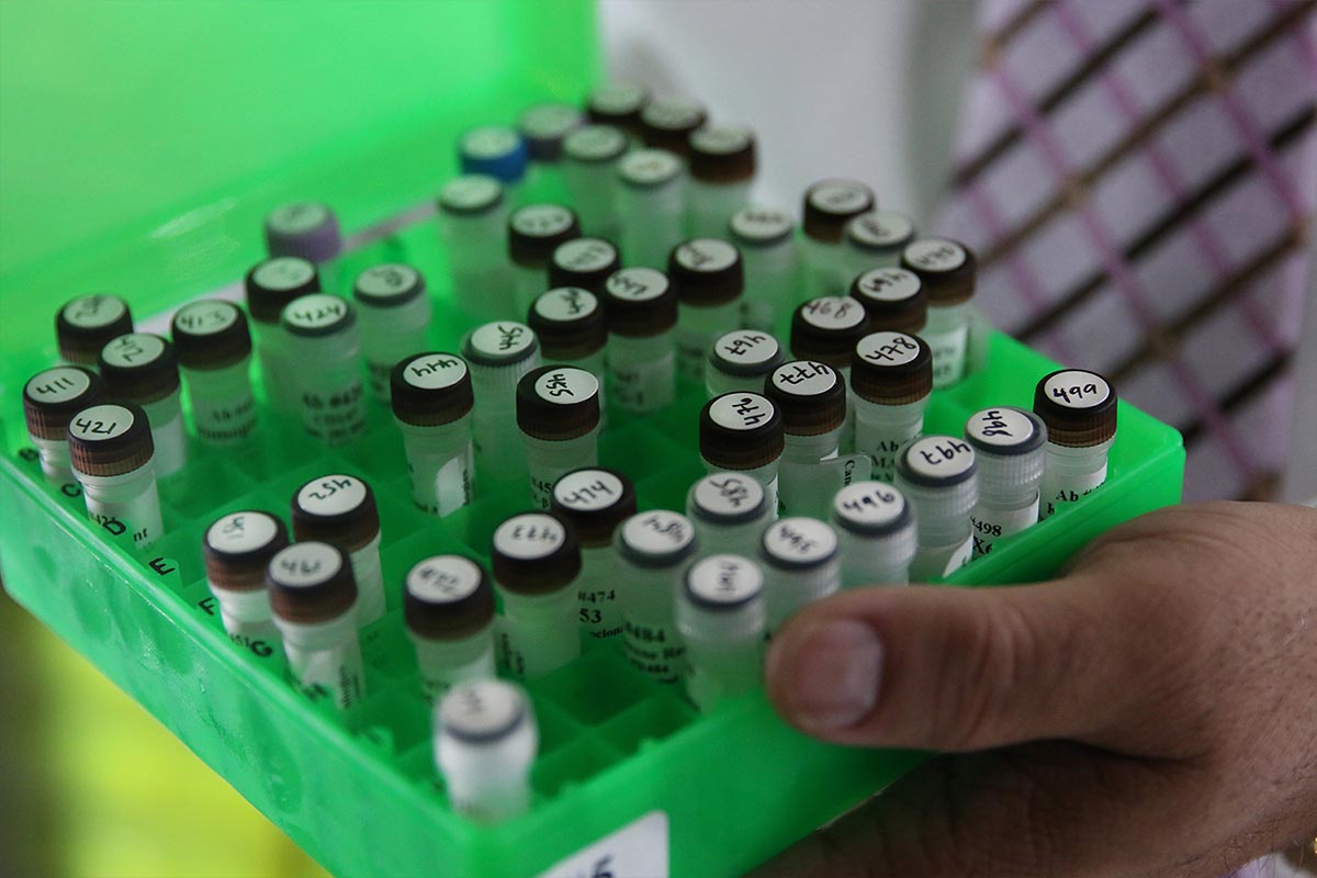 Events Covered and Shot